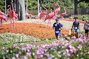 BIB: 
                            <button type="button" onclick="openModal(27794259)" class="btn btn-primary btn-sm float-right btn-popup" data-toggle="modal" data-target=".modal-high-quality">
                        <i class="fas fa-shopping-cart"></i> Add to Cart
                    </button>
                                            <button type="button" onclick="isThisMe(27794259, true)" class="btn btn-success btn-sm float-right btn-popup btn-isme hidden" data-toggle="tooltip" data-placement="bottom" title="นี่คือรูปของคุณใช่ไหม คลิกที่นี่เพื่อเอาเข้าอัลบั้ม">
                        <i class="fas fa-plus"></i> Add to album
                    </button>
                    <button type="button" onclick="isThisMe(27794259, false)" class="btn btn-warning btn-sm float-right btn-popup btn-isnotme hidden">
                        <i class="fas fa-ban"></i> Remove from album
                    </button>